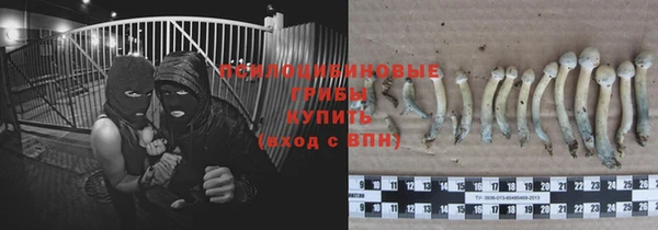 дживик Нефтегорск