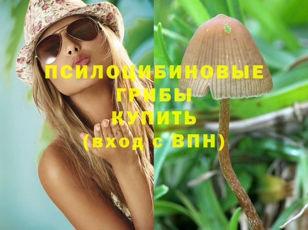 гидропоника Нея